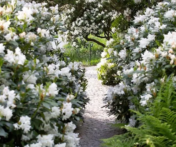 Apartment Jaskolka Dom I *